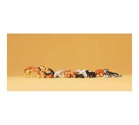 Preiser 14165 - Chiens et chats - HO (1:87)