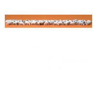 Preiser H0 14411 - Troupeau De Moutons Neuf
