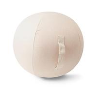 PRELGOSP Housse Ballon Yoga avec Poignée, Housse Ball pour Ballon Fitness, Housse de Protection pour Swiss Ball, Ballon Grossesse, Balle de Fitness,Beige,55cm/21.7in