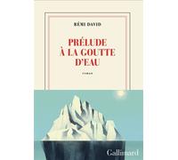 Rémi David – Prélude à la goutte d'eau – Roman – Broché