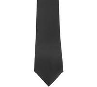 Premier - Cravate unie - Homme (Lot de 2) (Taille unique) (Sauge) - UTRW6934 Sauge G