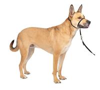 Premier Easy Walk - Collier pour Chien avec Boucle - Noir - Taille M