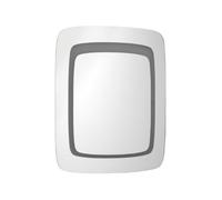 Premier Housewares 1101450 Wardell Miroir Illuminé Mural en Aluminium/Verre