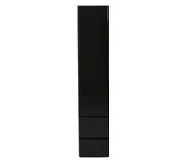 Premier Housewares 2402940 Largo Armoire de Salle de Bain MDF Finition Peinte Noir Laqué