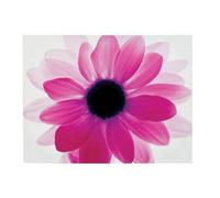 Premier Housewares 2800563 Impression sur Toile Floral Fuchsia