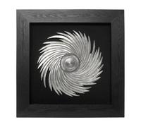 Premier Housewares 2800583 Décoration Murale Cadre Rayon de Soleil Argenté/Noir