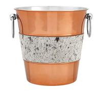 Premier Housewares 507382 Seau à vin en acier inoxydable