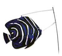 Premier Kite PK26503 Girouette Poisson, Multicolore, 50,8 x 12 x 110 cm
