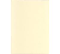 Premier Paper Lot de 200 feuilles de papier cartonné Ivoire Format A4 160 g/m²