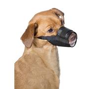 Premier Pet™ Muselière pour chien, Accessoire Chien, taille M