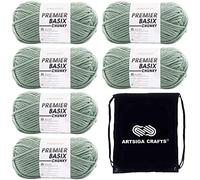 Premier Yarns Basix Chunky Sage 1145-31 (6 écheveaux - Lot de 6 écheveaux - Lot de même teinture) épais et volumineux #5 pour crochet et tricot - Avec 1 sac Artsiga Crafts Project
