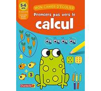 PREMIERS PAS VERS LE CALCUL (5-6 A.)