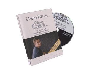 Premise Power & Participation Vol. 4 by David Regal and L & L Publishing - DVD
