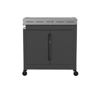 Premium buddy pour barbecue à gaz Barbecook