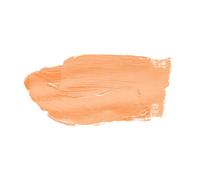 Premium Couleur des Murs - La Classe 1 - Intérieur - 2,5Liter - 50 Divers de