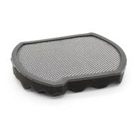 Premium Filtre de Protection Moteur Compatible avec Bosch BGS412234A, BGS41FAM, BGS41HYG1, BGS41K332, BGS41K432, BGS41MPOW - Filtre bac à poussière, Lavable, Accessoires, pièces de Rechange