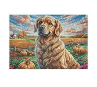 Premium Golden Retriever Champ de citrouilles Animal de Compagnie Mignon Faune Sauvage Wild Puzzle 300 Pièces pour Adultes Stimulant Amusant Et Captivant Idéal pour Moments Libres Et Hobby 300 PCS（4