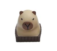Premium Résine Custom Keycaps Thème Animal Texture Colorée Durabilité Lisse pour Clavier de Jeu Accessoires Pouces Capybara Keycaps