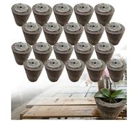 Premium Substrat pour Orchidées | Mélange Aéré et Drainant pour des Racines Saines | Idéal pour Le Rempotage des Phalaenopsis et Dendrobium (⌀4,20PCS)