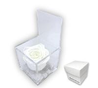 PremiumRose Rose Blanche Stabilisé Parfumé 8cm, Vraie Rose Eternelle, Idée Cadeau Maman, Copine, Amie, idée Cadeau Anniversaire, Remise de Diplôme (Blanc - A 1088)