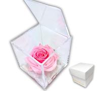 PremiumRose Rose Stabilisé et Parfumé 12 cm Vraie Rose Eternelle, Idée Cadeau Maman, Petite Amie, Idée Cadeau d'anniversaire, Remise de Diplôme (Rose - A 1025)