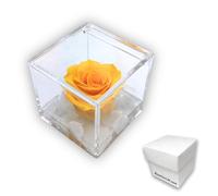 PremiumRose Rose Stabilisé Parfumé Jaune Cube 5cm Vraie Rose Eternelle, Idée Cadeau Maman, Petite Amie, Ami, Idée Cadeau Anniversaire, Remise de Diplôme (Jaune - A 1053)