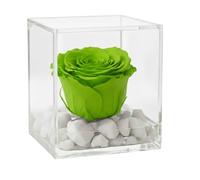 PremiumRose Rose Stabilisée Cube 8cm Vraie Rose Eternelle, Idée Cadeau Maman, Petite Amie, Idée Cadeau d'anniversaire, Remise de Diplôme (Vert - A 1089)