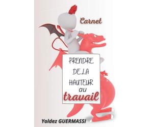 PRENDRE DE LA HAUTEUR AU TRAVAIL: Carnet de bord pour mon aventure professionnelle : Valoriser une expérience professionnelle, cela s’apprend