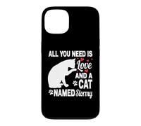 Prénom personnalisé pour Chat Orage Mignon Chaton Amoureux Coque pour iPhone 13