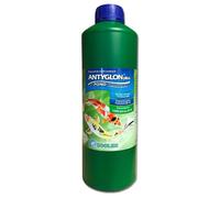 Préparation anti-algues pour bassins élimine les algues grand format 1000 ml