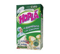 PRÉPARATION DE LÉGUMES HOPLA POUR FOUETTER ET CUIRE 1 LT