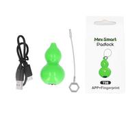 Préparent d'empreinte digitale intelligente USB Reccharte de serrure d'empreinte digitale électronique imperméable pour les bagages de porte d'armoire Sac à dos Abs Abs Abs en (Vert)