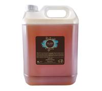 PRESENT-MORE - Shampooing Douche 5lt Arganier - Paquet de 2 Pièces - Gel Shampooing Douche Sans Allergènes - Parfum Argan - Made in Italy - Idéal pour Hôtels et B&B