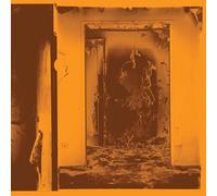 Present Tense - Vinyle Argent