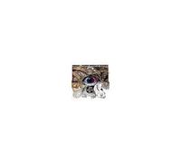 Nobody & Mystic Chords of Memory - Tree Coloured See [Import]