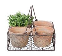 Présentation Élégante : 4 Pots De Fleurs En Terracotta Dans Un Panier En Fil