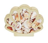 Présentoir à coquillages en bois, petite boîte à ombre faite à la main, décoration d'intérieur avec panneau acrylique transparent, décoration côtière, décoration de chambre, cadeau pour femmes
