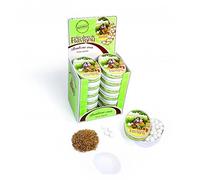 Présentoir De 12 Boîtes 50 Grammes Anis de Flavigny