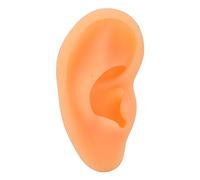 Présentoir de boucles d'oreilles en silicone, avec texture flexible et anatomie détaillée, pour affichage de prothèses auditives, présentation de boucles d'oreilles, éducation