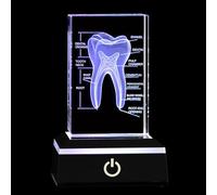 Présentoir de dents en cristal avec anatomie gravée au laser 3D, base LED, parfait pour l'éducation dentaire et les cadeaux médicinaux