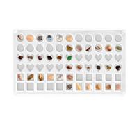 Présentoir pour coquillages rangement élégant pour petits bijoux | Pot à crayons en acrylique pour petites étoiles de mer, dents de requin, bijoux