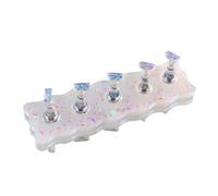 Présentoir pour ongles Porte-ongles magnétique, présentoir de pratique, résine Laser glace, Base transparente en forme cœur, étagère présentation, outil d'art des ongles(Color02)
