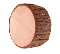 Présentoir Rustique en Bois Massif Forme Cylindrique Stable Surface Écorce | Accessoire pour Stylistes Événementiels et Photographes, Support pour Bougies Chauffe-plat, pour Vitrines et Présentations