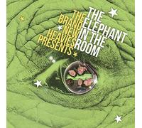 The Brand New Heavies - Presents Elephant in The Room [Import]