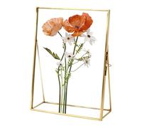 Presse à fleurs transparente faite à la main 10,2 x 15,2 cm | Cadres photo flottants pour la maison, le bureau, la table, les souvenirs, les trèfles, les fleurs séchées