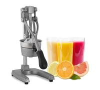 Relaxdays Presse-fruits manuel avec levier, presse orange, presse citron professionnel qualité gastronomie, argenté