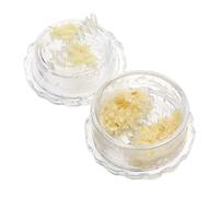 Presse-ail de Cuisine,Broyeur D'ail Agitateur Manuel D'ail De Boîte En Plastique Cuisine 5pcs, Facile À Écraser Les Légumes Purée Gingembre Outil de Cuisine