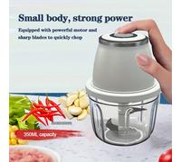 Presse-ail électrique rechargeable par type C pour la maison, mini mélangeur et hachoir à viande multifonctions automatique Taille uniquePolystyrène