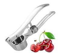 Presse-ail en acier inoxydable - Outil de commutation manuel durable - Gadget de cuisine multifonction 5 en 1 - Poignée ergonomique solide - Hachoir simple pour gingembre, noix, noix, aliments