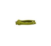 Fackelmann Presse-ail 687072 plastique écosourcé acier inoxydable Vert 16,8 x 6 cm